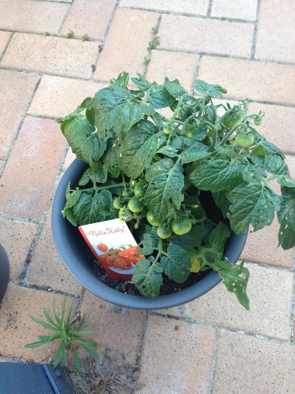 I’m not bragging but….