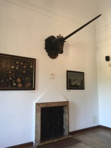 Austria and Germany 2015 423