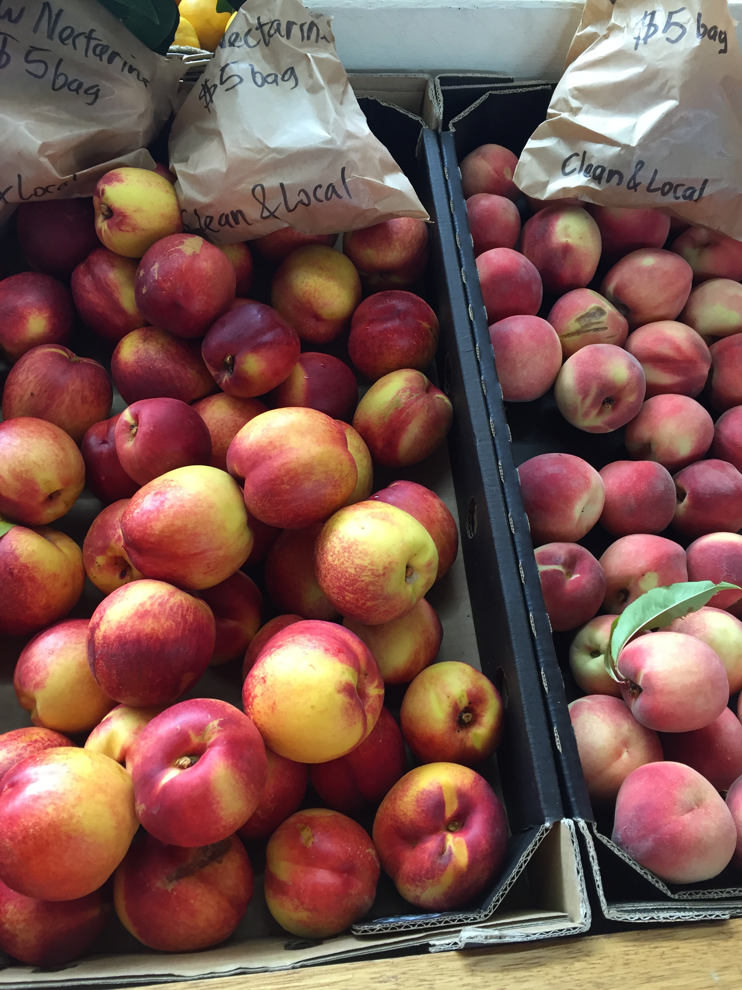 December-January 2016 426